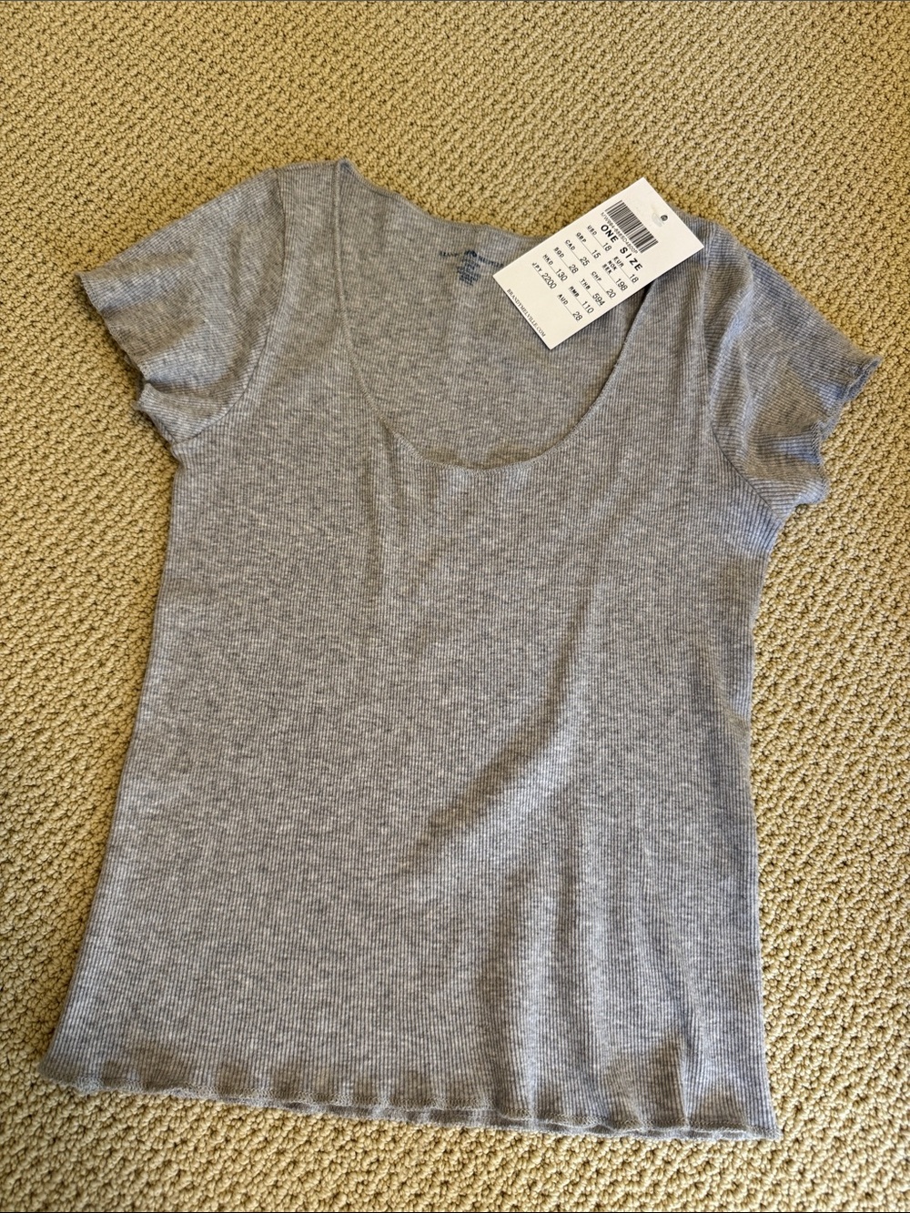 NWT-Brandy Melville T Shirt